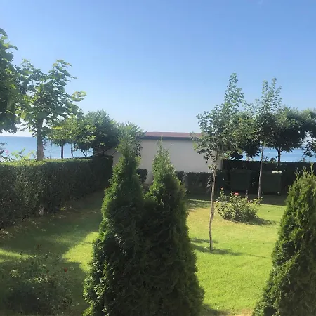 Bela-alex * 拉夫达