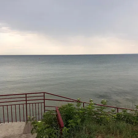 Bela-alex * 拉夫达