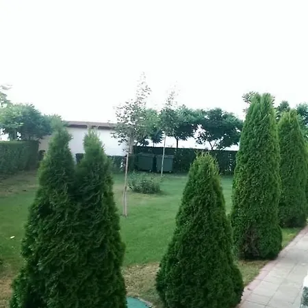 Bela-alex * 拉夫达