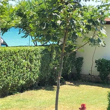 Bela-alex Apartment Rawda