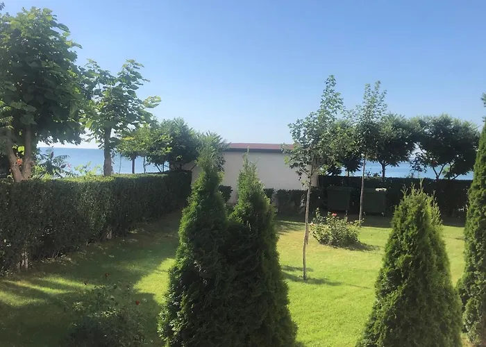 Bela-alex * رافدا