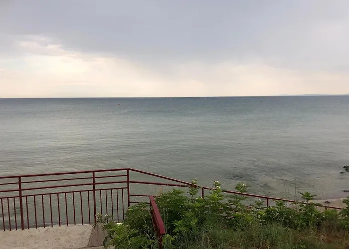 Bela-alex * رافدا