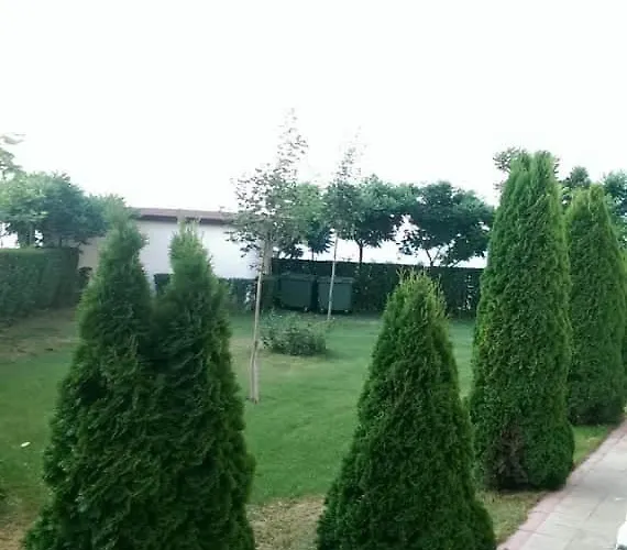 Bela-alex * رافدا