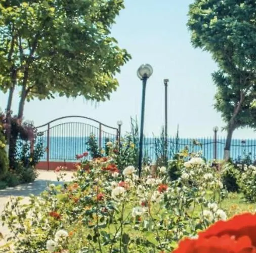 Bela-alex رافدا